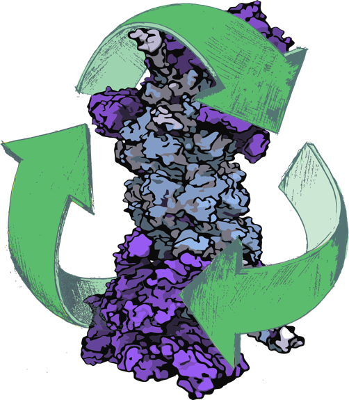 Proteasome_Receycling