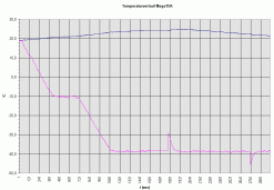 Temperaturverlauf