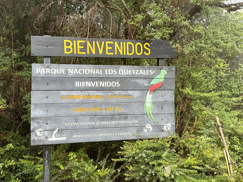 Parque Nacional Los Quetzales