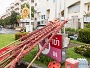 2015_10_14_Phuket_Vegi_Festival-43