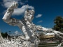 2015_11_14_Chiang_Rai_White_Temple-5